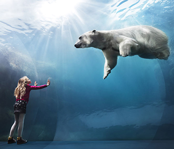 zoo_kopenhagen