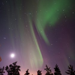 Polarna svjetlost, Laponija. Izvor: Lola Akinmade Åkerström/imagebank.sweden.se