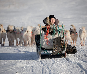 dog-sledding-greenland